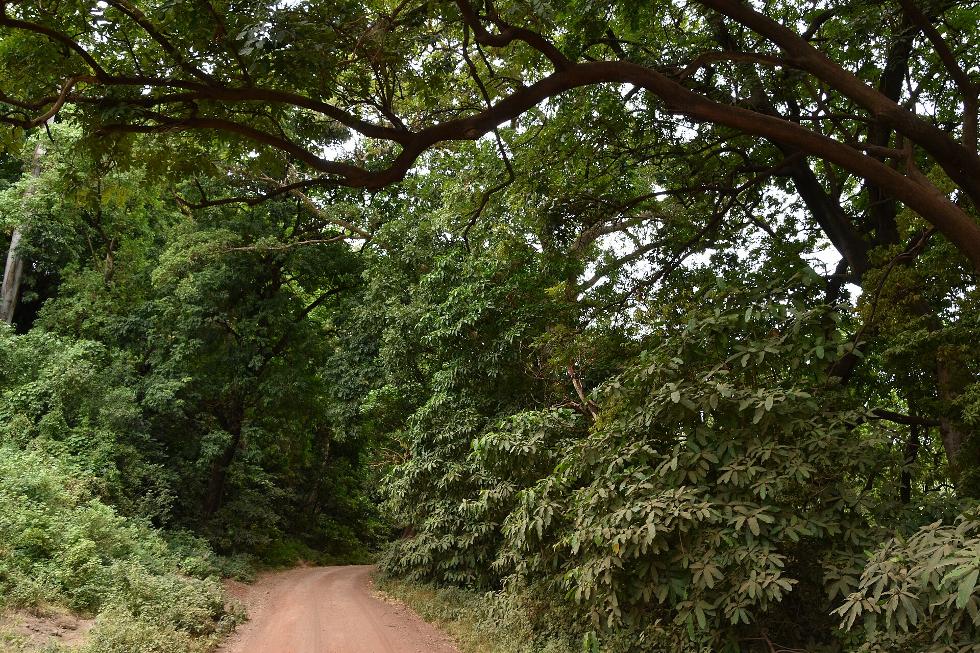 Lake Manyara National Park
