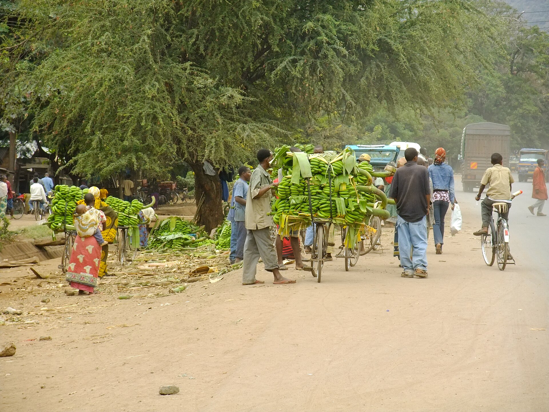 Banana market on the road through Mto wa Mbu